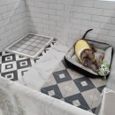 하이마이댕댕 이미지