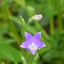 약초산방 이미지