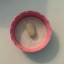 샤인약국 | 글루타치온추천 위글로우랩스 트루샤인브라이트 글루타치온 저속노화 이너뷰티템 후기