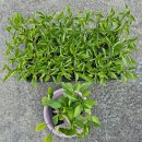 농협농산물직판장 이미지