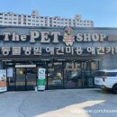 건강하게동물병원 | 하양 더 펫 샵 : 동물병원 애견미용 애견카페 간식까지
