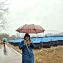 양구백자박물관 이미지