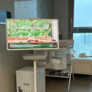 [내돈내산] 스탠바이미 2 사전예약 구매 후기 (+ 1 vs 2 비교, 치명적 단점...)