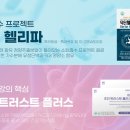 피플플러스