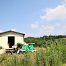 안골농원 이미지