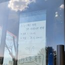 날이 너무 좋은 요즘 강아지들 신나게 뛰어놀 수있는 경주 애견동반 카페 오시라