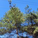 만나복떡집 이미지