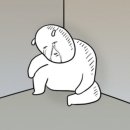 견묘당 | [공지] [견묘당공구]강아지목욕 10분컷 가능한 세정력 좋고 성분좋은 강아지 샴푸 추천 견묘당 맑은쑥...