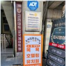 우리집 똥강아지 이미지