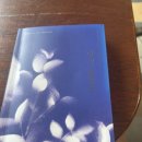 조르바민박 이미지