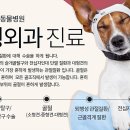 동물병원 공감 이미지