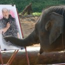 댄스스포츠A 이미지