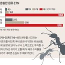 개미