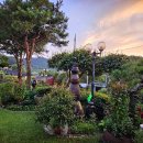 파르데스 이미지