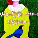채움에듀협동조합 네이버블로그