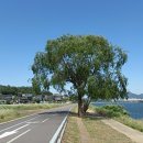 왕숙천둔치공원(강동대교) 이미지