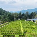 고인목장 이미지