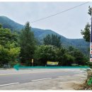 영진마트 앞 이미지