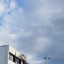 삼성자동차전문유박사오토샵 이미지