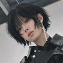 아림애견의 집 | [1월 총정리] 모든 젊은이들이여 파이또!!