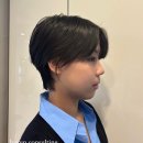 하룸 이미지