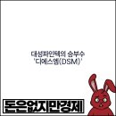 디에스엠 이미지