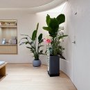 서울이룸정신건강의학과의원 이미지