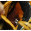 프로메이드 이미지