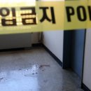 관악-현장-관악-608 이미지