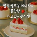 금릉역 맞은편 | [파주 맛집] 딸기케이크는 역시 라르고 베이커리! 파주 금릉역 케이크 맛집 후기