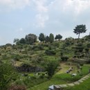 공설묘지 이미지