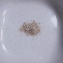 도기슈퍼 | 강아지 고양이 기관지 영양제 슈퍼벳 안티콜록으로 관리하기