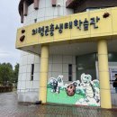 의령곤충생태학습관 경남 아이랑 체험이 가득한 실내 박물관