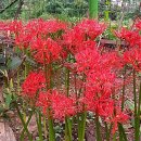석산상사