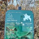 방아머리공원(솔밭) 이미지