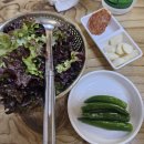 [구미 맛집] 또간집 도산 식육식당 돼지찌개 솔직 후기
