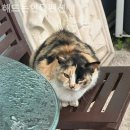 해뜨는언덕펜션 이미지