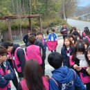 이영미농장 이미지