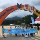 어서오시개 이미지