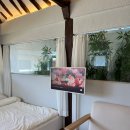 적선지가 덕양점 | [청도] 적선지가 덕양점 - 온수풀이 있는 감성 한옥 숙소