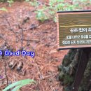Have A Good Day~~♥ 이미지
