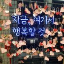 대학로 드림아트센터 4관 네이버블로그