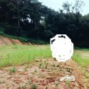 순성면사무소 네이버블로그