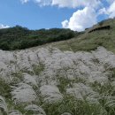 수원-0640 이미지