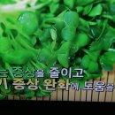 기치유센터