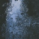 허브메이트 - 청주시 청원구 구룡6길 12 | 허브메이트
