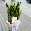 떠버리축산 이미지