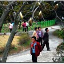 동산남성 이미지