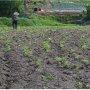 지리산금종영농조합법인 이미지