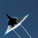 시대를 앞서 간 비운의 스텔스전투기 YF-23 이미지